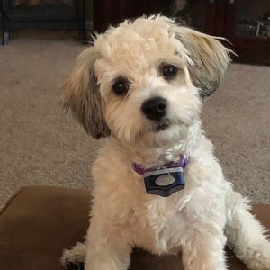 Meet your Posher, Katelyn